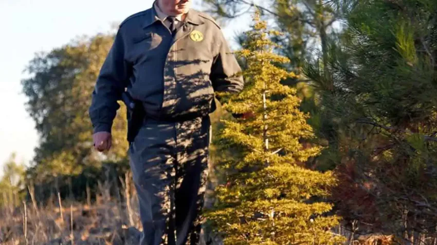 OGM işçi alımı kura sonuçları açıklanan iller hangileri? OGM 4.500 işçi alımı kura sonuçları haberinin görseli