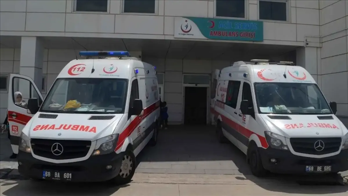 Sahipsiz köpek çocuğu yaraladı haberinin görseli