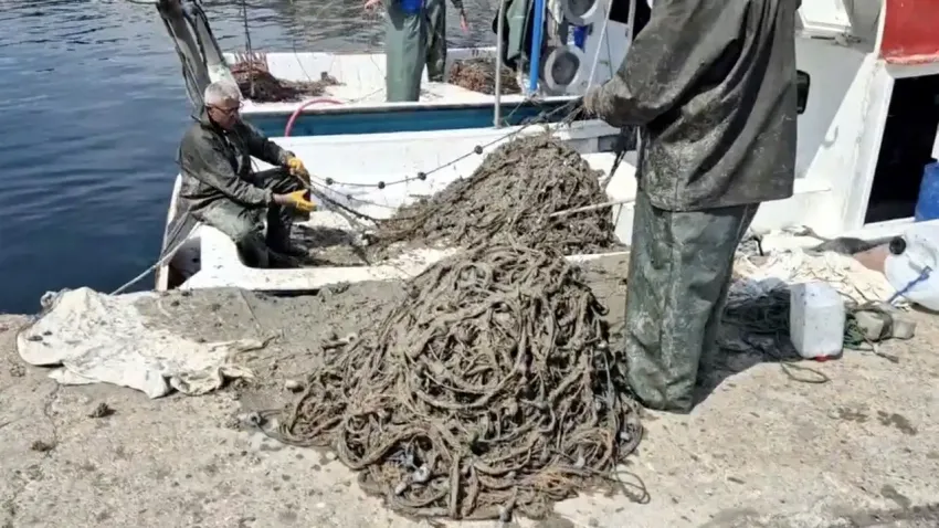 Tekirdağ’da endişelendiren görüntü: Ağları müsilajla kaplanan balıkçılar, avlanamadan geri döndü haberinin görseli