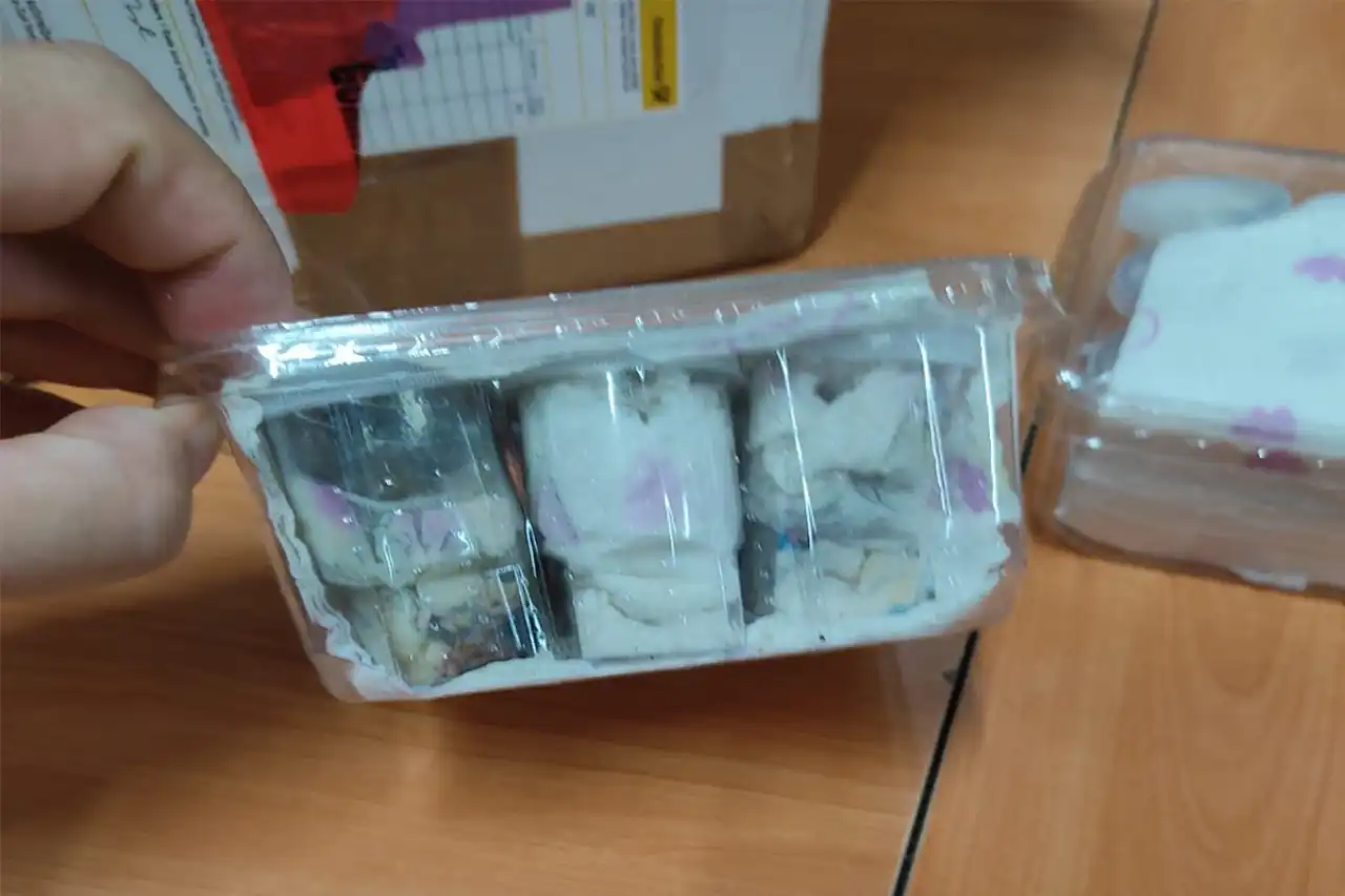 İzmir’de 26 tüp tarantula cinsi örümcek ele geçirildi haberinin görseli