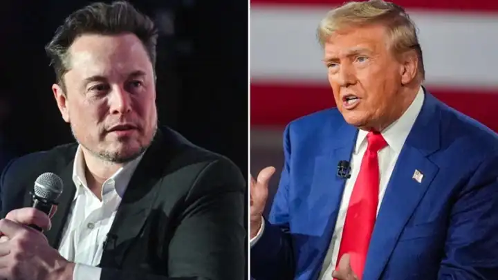 Elon Musk'ın, yeni gümrük tarifelerini geri çekmesi için Trump'a 