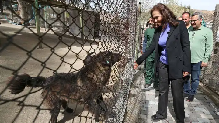 Karşıyaka yeni hayvan yaşam merkezi için gün sayıyor haberinin görseli