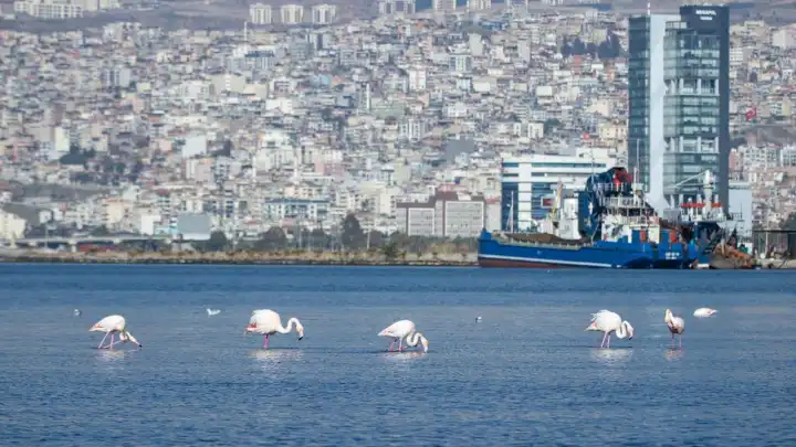 İzmir’in iklim krizi ile mücadelesi güçleniyor: İklim risk haritası oluşturulacak haberinin görseli