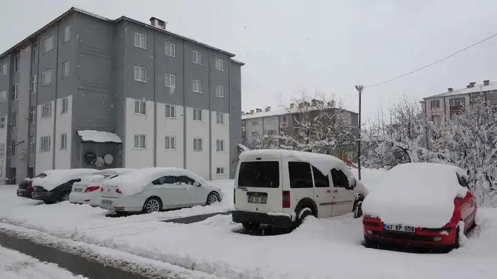 Bitlis'te 60 köy yolu kapandı haberinin görseli