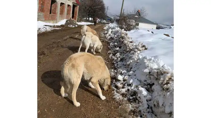 HAYTAP bu kez Edirne, Samsun ve İzmir için kolları sıvadı haberinin görseli