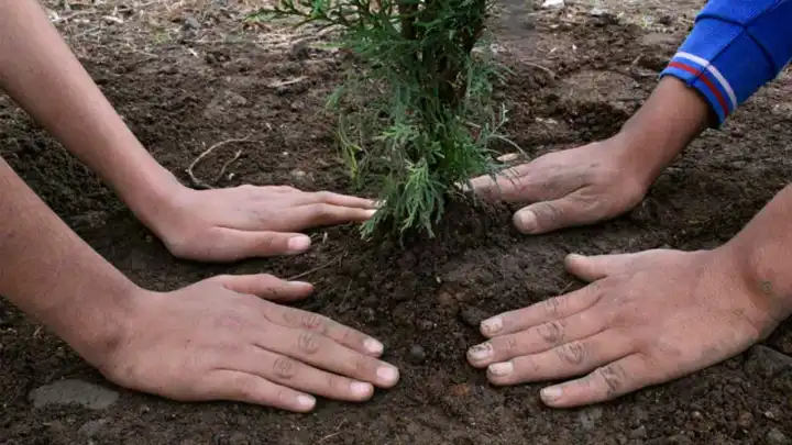 Buca muşmulalar ile nefes alacak haberinin görseli