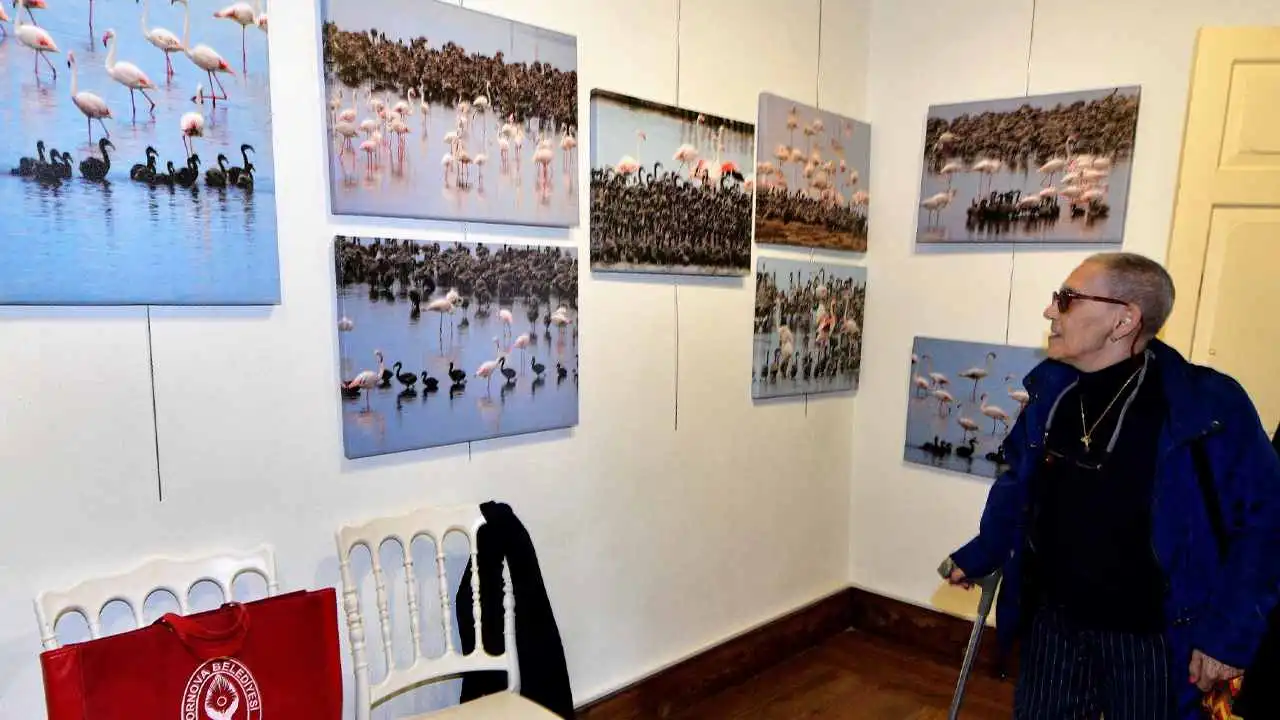 Flamingo Adası sergisi Bornova’da açıldı haberinin görseli