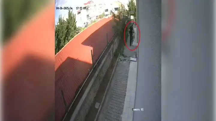 Sahiplendiği köpekleri öldüren doktor tutuklandı