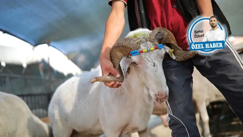 Bir aylık maaş bir kurban etmiyor haberinin görseli