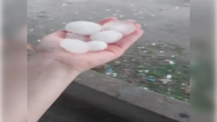 Dolu yağışı tarım arazilerine zarar verdi
