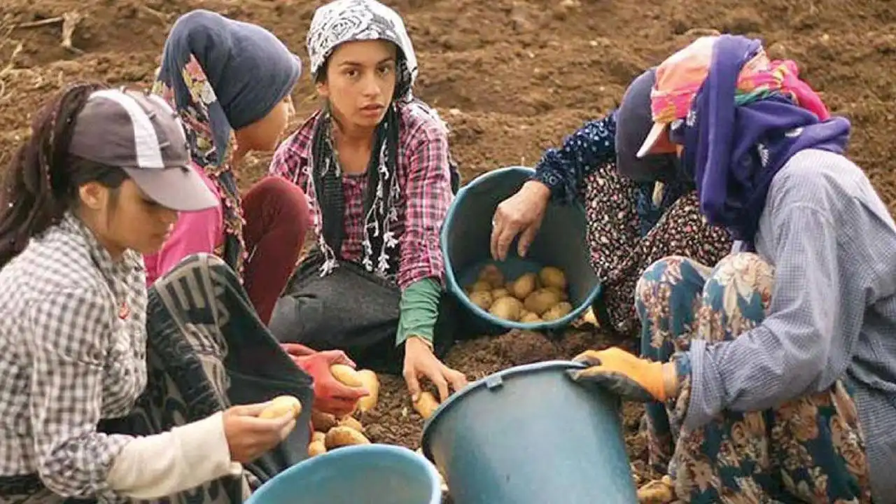 İSİG Meclisi Genel Koordinatörü Murat Çakır: Artık MESEM'in de ötesinde çocuk işçilik çok daha yaygın haberinin görseli