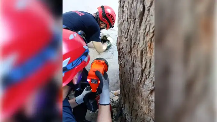 İzmir'de kedi operasyonu