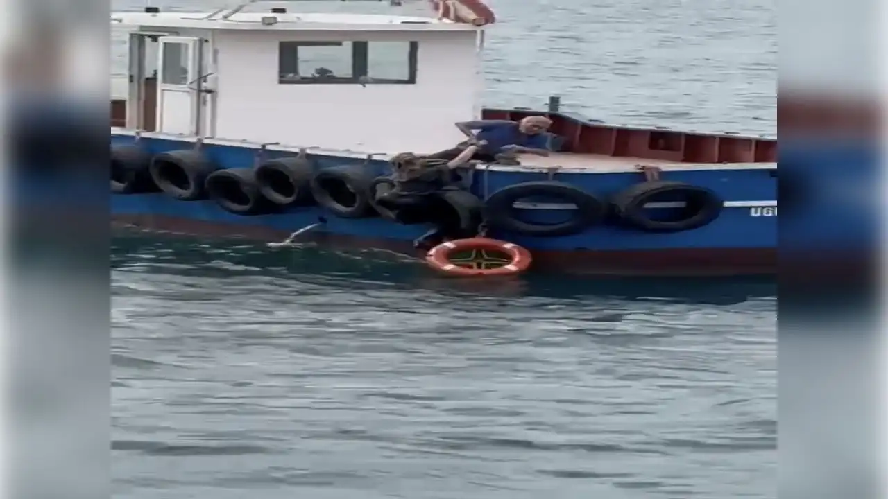 Yolcu vapurundan düşen kadın son anda kurtarıldı! haberinin görseli
