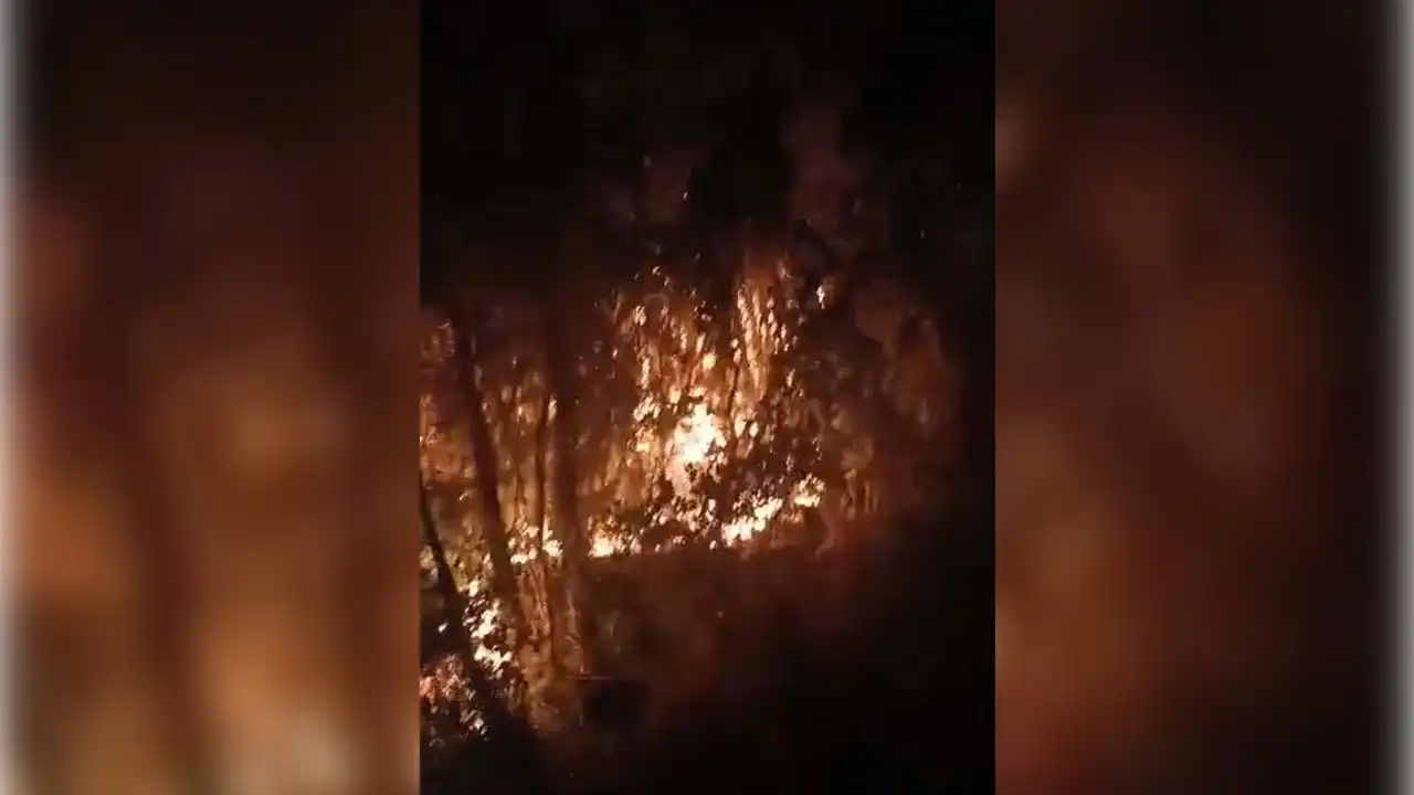İzmir haber: Bornova'daki yangını çıkaranlar tutuklandı haberinin görseli