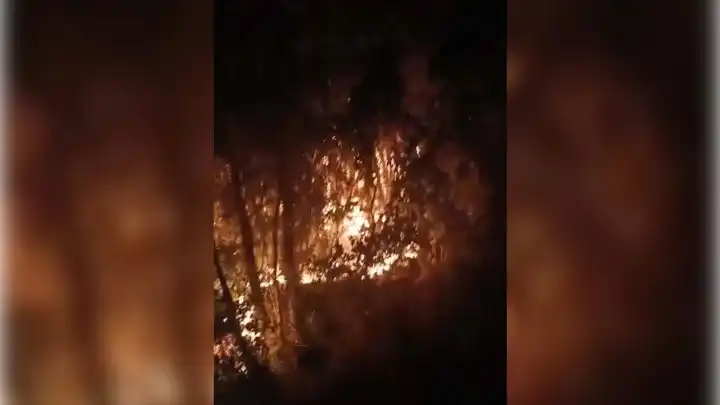 İzmir haber: Bornova'daki yangını çıkaranlar tutuklandı