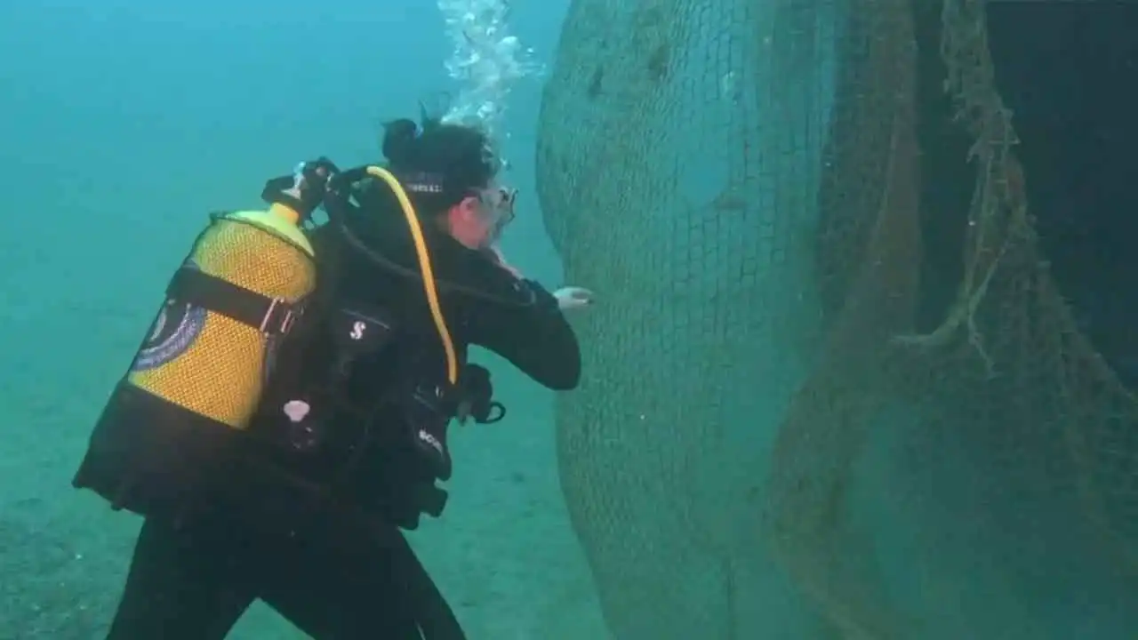 Karaburun'da denizden 1,5 ton atık balık ağı toplandı haberinin görseli
