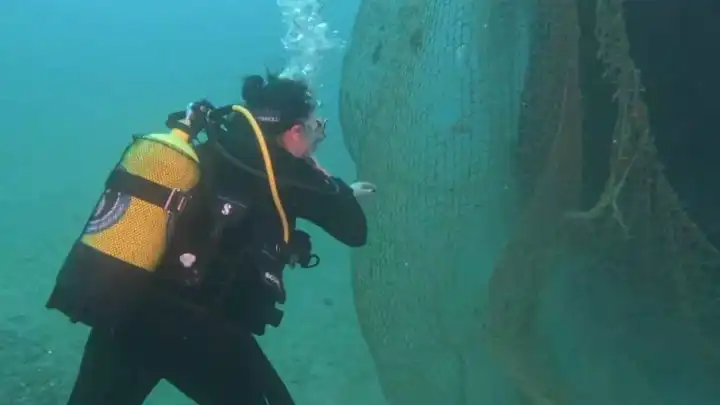 Karaburun'da denizden 1,5 ton atık balık ağı toplandı