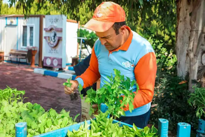 Seferihisar, Tohum Takas Şenliği’ne hazırlanıyor