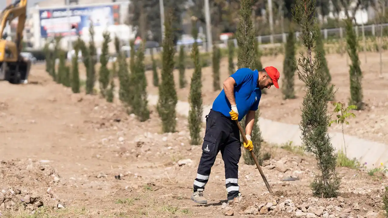 İzmir’de 26 futbol sahası büyüklüğündeki alanda ağaçlandırma seferberliği haberinin görseli