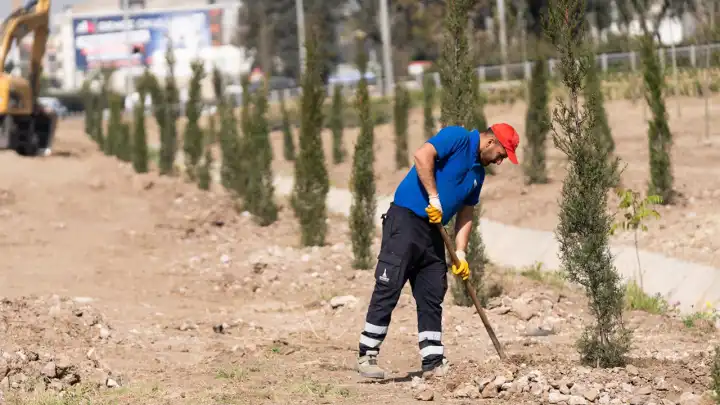 İzmir’de 26 futbol sahası büyüklüğündeki alanda ağaçlandırma seferberliği