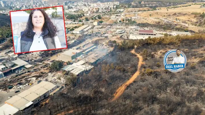 Orman Mühendislerinden Tugay’a tepki: Başkan İzmir halkına yalan söylüyor