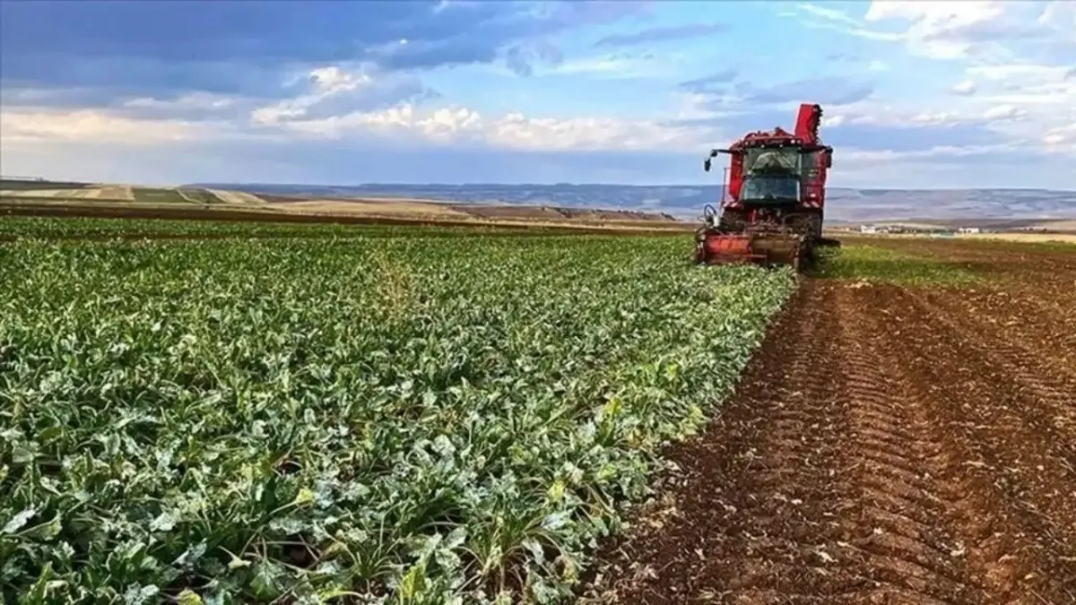 Üreticiye bayram erken geldi! Sıfır faizli krediyle çiftçinin yüzü gülüyor haberinin görseli