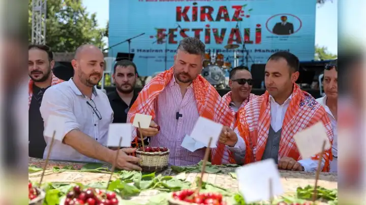 Buca'da Kiraz Festivali başlıyor