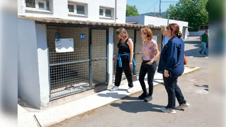 Konak’ta dört can dost yuvasına kavuştu