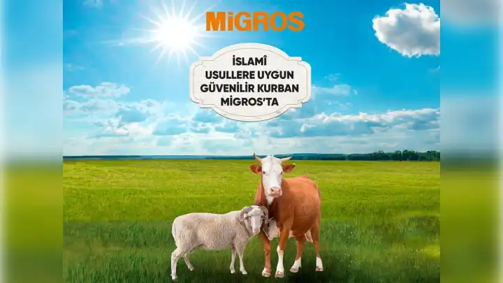 Migros’tan güvenilir ve islami usullere uygun kurbanlık hizmeti