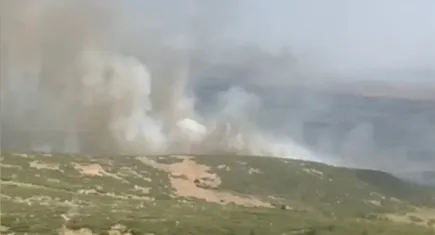 Foça'da çıkan yangın saatler sonra kontrol altına alındı!