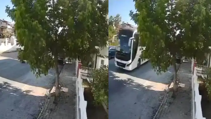 Kuşadası’nda vicdanları sızlatan  görüntü: Sokakta yatan köpeği ezip yoluna devam etti