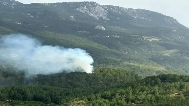 Antalya'da korkutan orman yangını! haberinin görseli