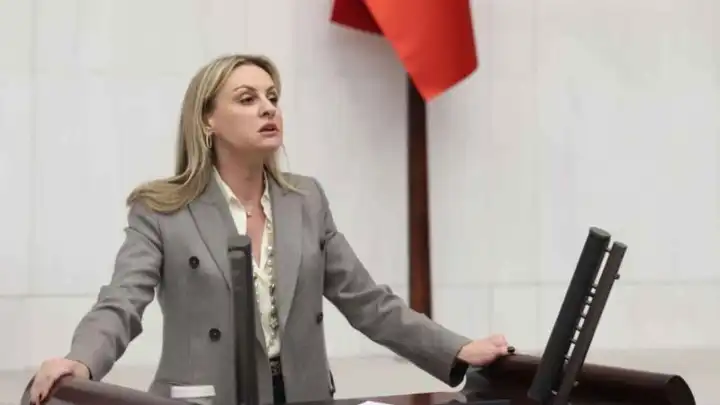 CHP’li Ösen: Demokrasi ve adalet yoksa ekonomiyi düzeltemezsiniz haberinin görseli