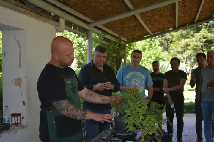 Ege’de Bonsai Sanat Etkinliği