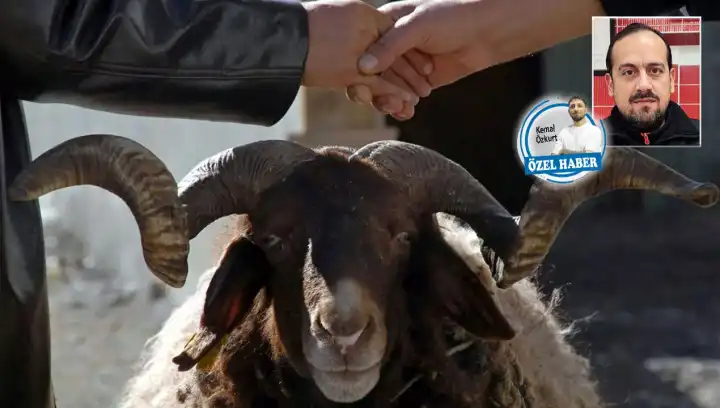 Kurban pazarında umutlu hava