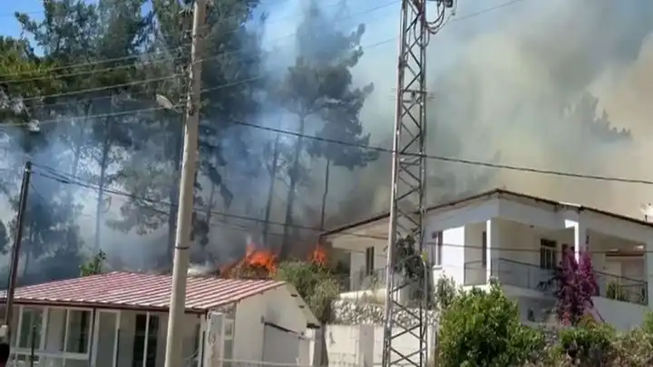 Muğla'da orman yangını!