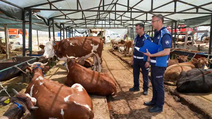 Gaziemir Belediyesi’nden kurban satış yerlerinde sıkı denetim