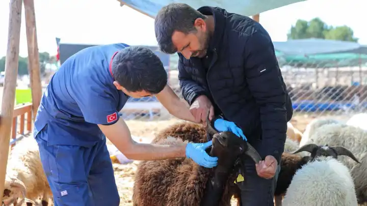 Buca Belediyesi’nden kurban pazarlarına sıkı denetim