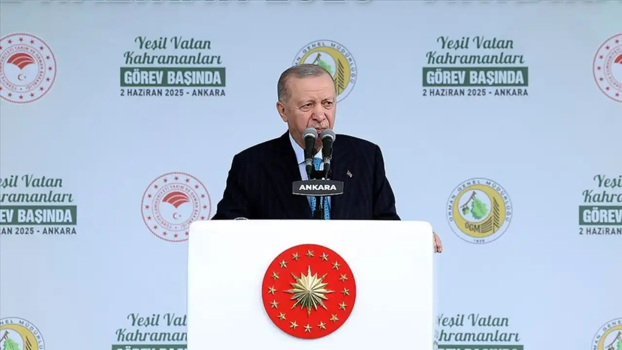 Cumhurbaşkanı Erdoğan: Orman varlığımız büyük bir tehdit ve tehlike altında  haberinin görseli