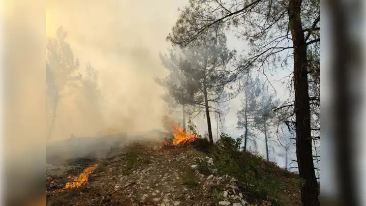 Balıkesir'deki yangına havadan karadan müdehale