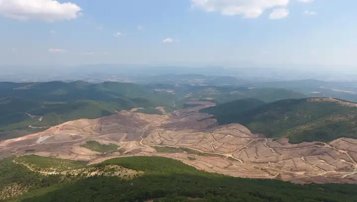 Yeni bir kampanya: Kazdağları'nda Milyonlarca Ağaç Tehlikede