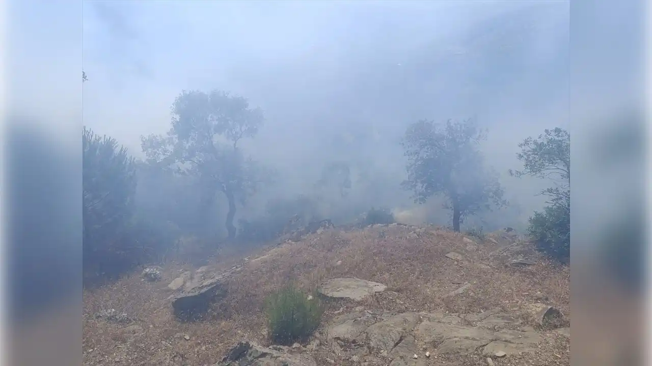 İzmir haber: Ödemiş'teki yangın kontrol altında haberinin görseli