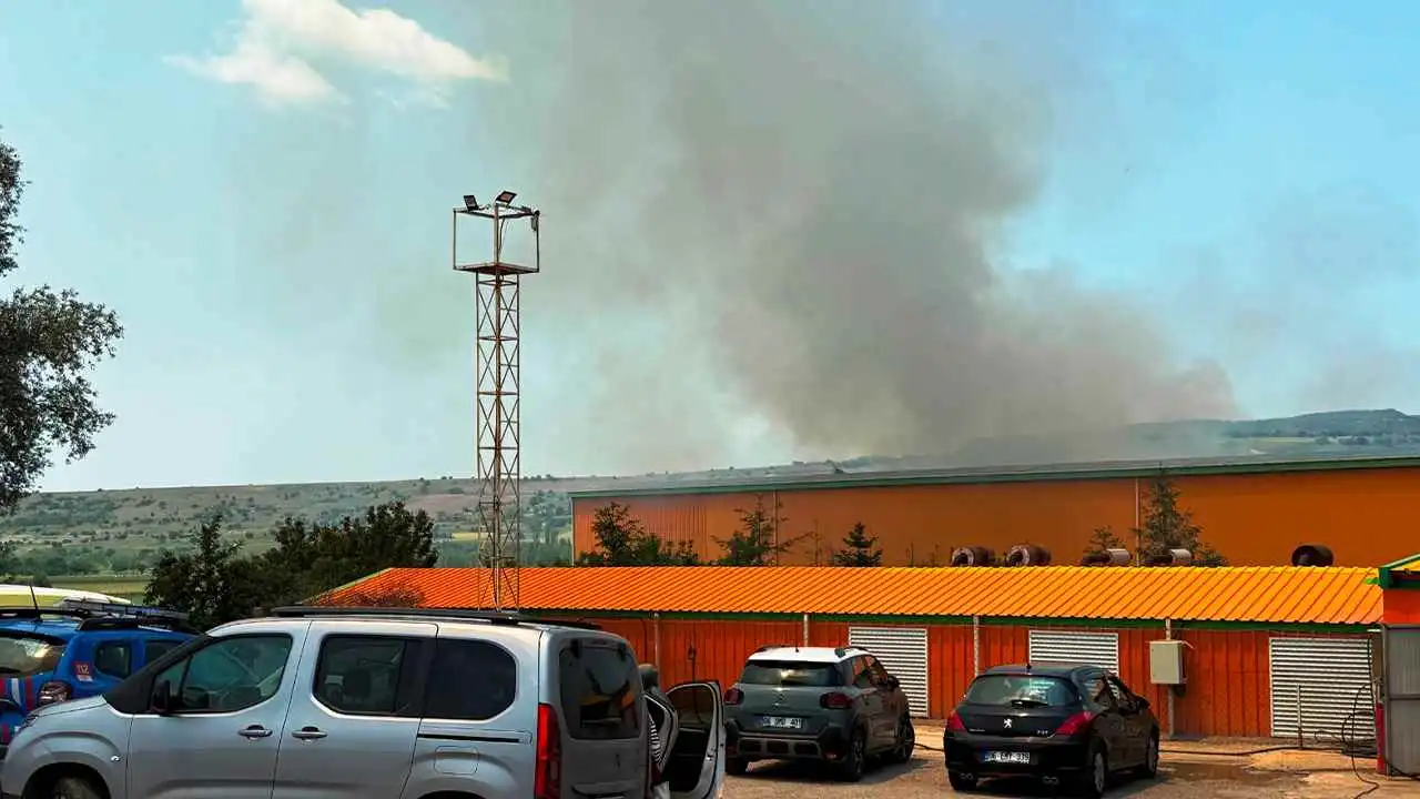 Yumurta tesisinde yangın: 150 bin tavuk telef oldu haberinin görseli