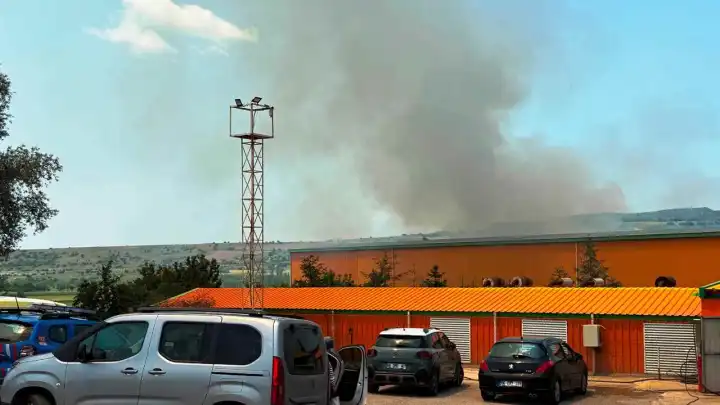 Yumurta tesisinde yangın: 150 bin tavuk telef oldu