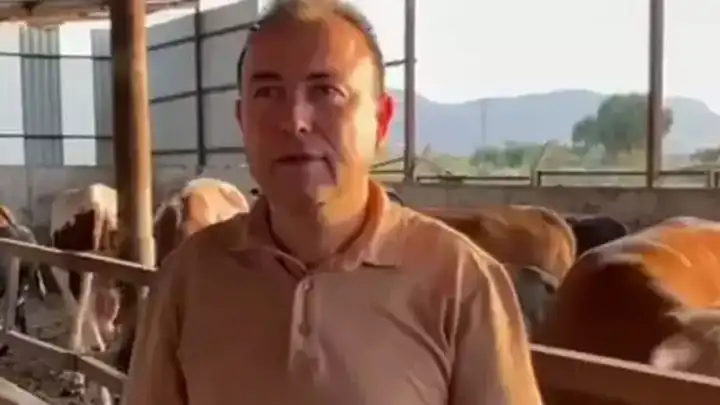 Acı haber Manisa'dan: Dananın saldırısına uğramıştı 
