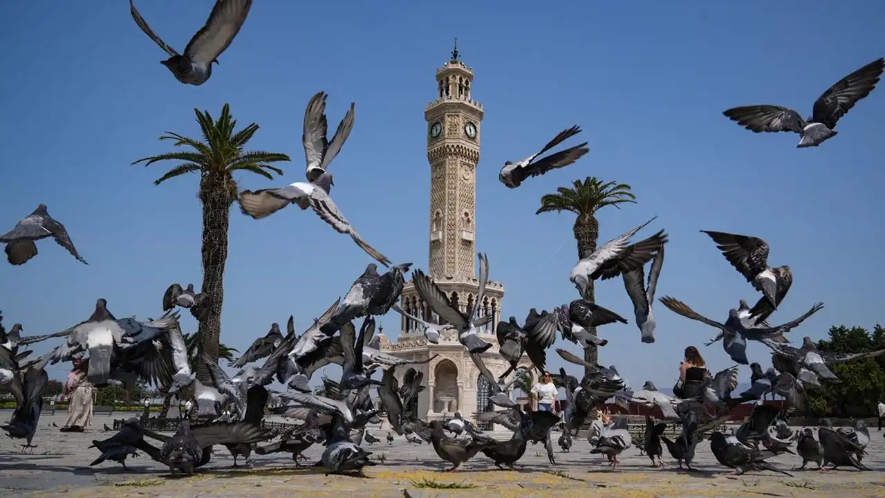 İzmir'de kent merkezi kuşlara kaldı haberinin görseli