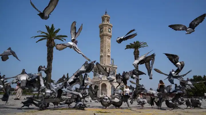 İzmir'de kent merkezi kuşlara kaldı