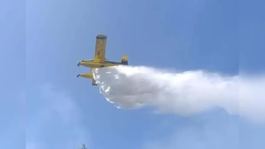 İzmir'de otluk alanda çıkan yangın ekiplerin müdahalesi sonucu söndürüldü