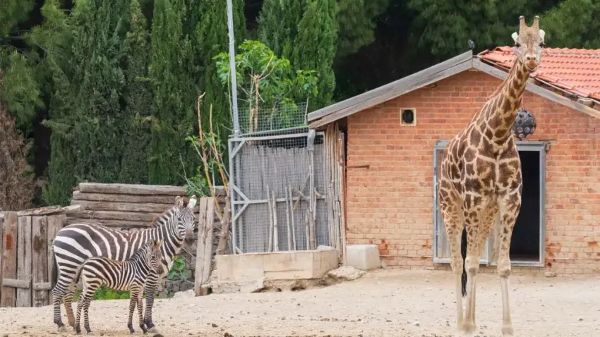 İzmir Doğal Yaşam Parkı bayramda da açık