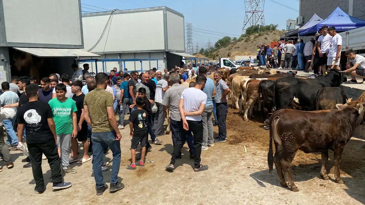 İzmir kurban kesim noktalarında yoğunluk oluştu haberinin görseli